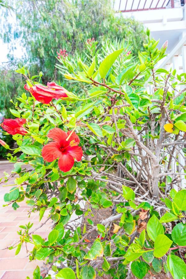 Vivienda Vacacional Sunny - Duplex Apartment 2Beds 2 Baths กอสตา เตกีสเซ ภายนอก รูปภาพ